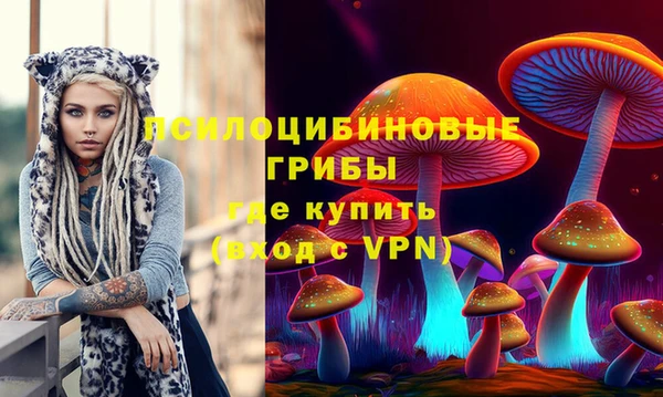 apvp Алзамай